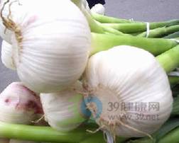 高血脂患者吃蒜可降血脂