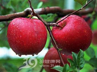 苹果竟是防癌药
