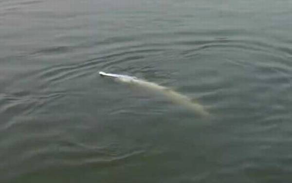 鳡鱼吃什么食物?