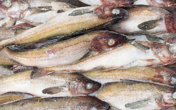 明太鱼是什么鱼?