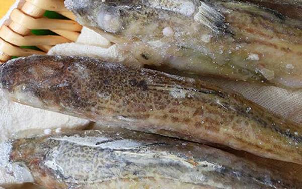明太鱼是什么鱼?