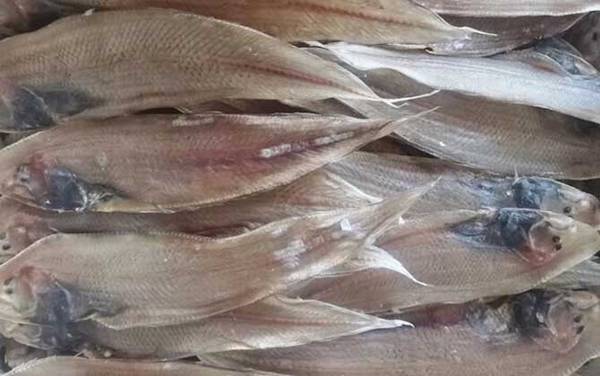 龙利鱼是什么鱼?