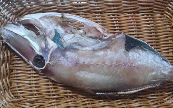 龙利鱼是什么鱼?