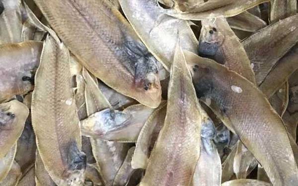 龙利鱼是什么鱼?