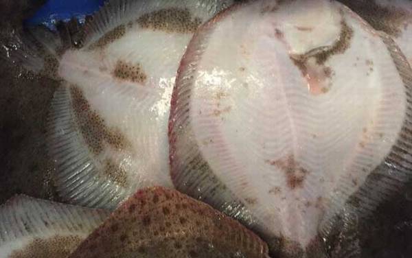 多宝鱼怎么处理干净?