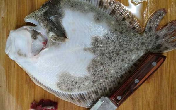 多宝鱼怎么处理干净?