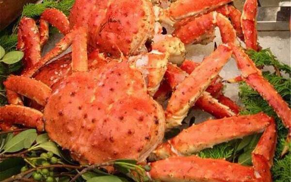 帝王蟹是什么动物?