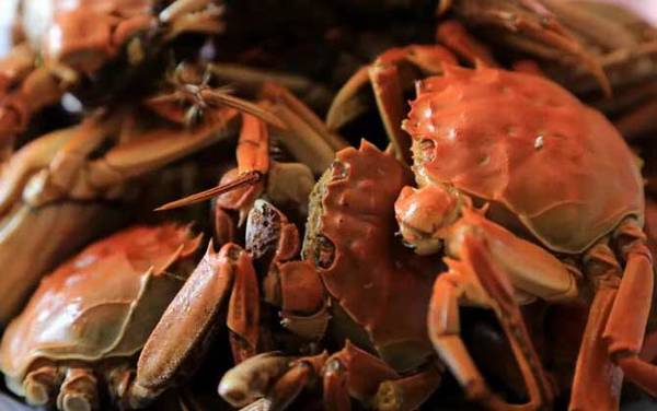 洪泽湖大闸蟹是什么蟹种?