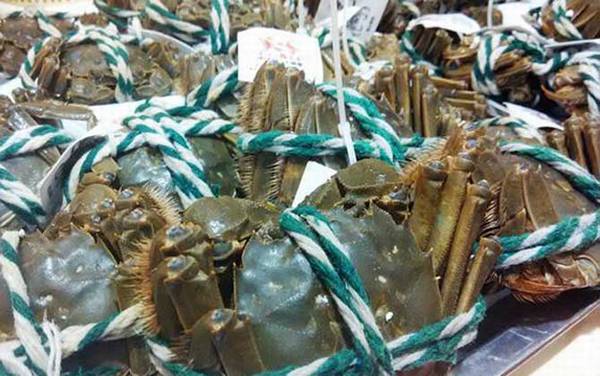 洪泽湖大闸蟹是什么蟹种?