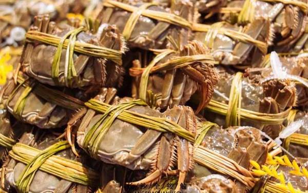 阳澄湖大闸蟹是什么蟹种?