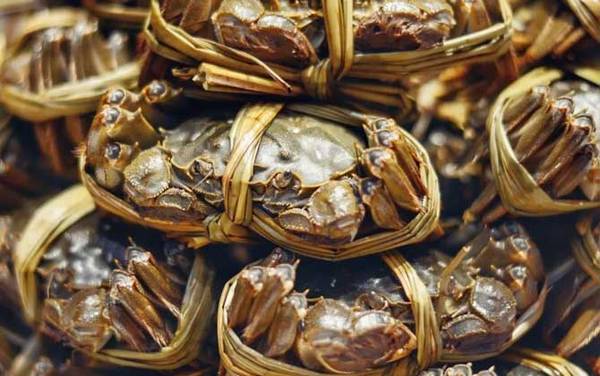 太湖蟹是什么蟹种?