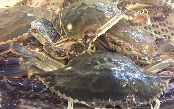 梭子蟹蒸多久才能蒸熟?