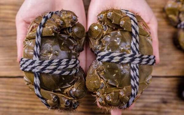 阳澄湖大闸蟹价格多少钱一只?