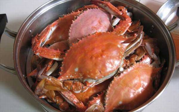 蒸螃蟹是冷水下锅还是热水下锅?