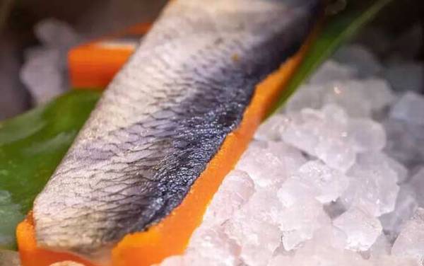 希鲮鱼是什么东西?