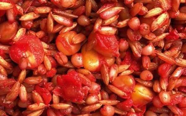 商品饵和窝料一起打窝好不?