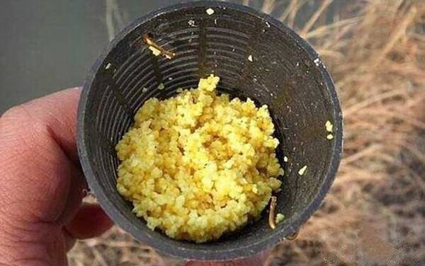 春季钓鱼用什么打窝最好?