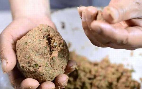 三月钓鱼用什么饵料最好?