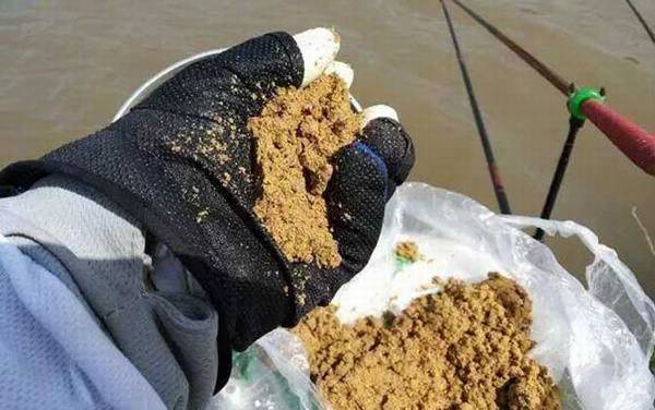 初夏钓鱼用什么饵料最好?