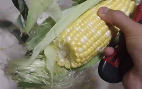 新鲜玉米钓鱼效果好吗?