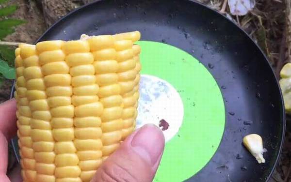 新鲜玉米钓鱼效果好吗?