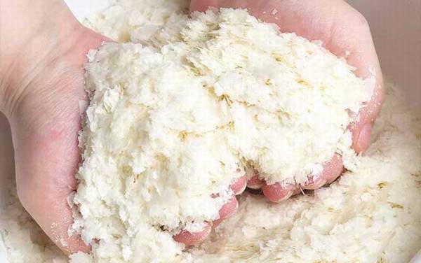 钓鲫鱼加轻麸还是雪花粉?