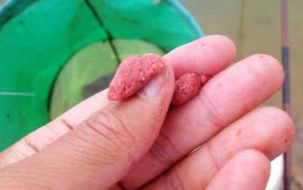 搓饵入水就掉是什么原因?