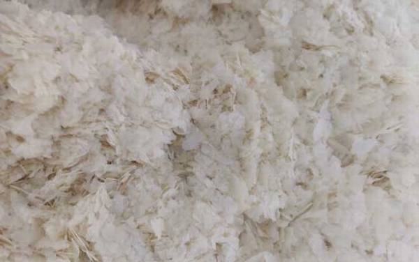 钓鱼雪花粉价格及使用技巧