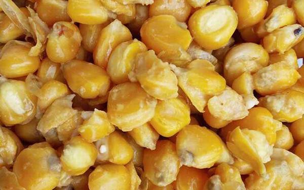 挖不到蚯蚓用什么钓鱼?