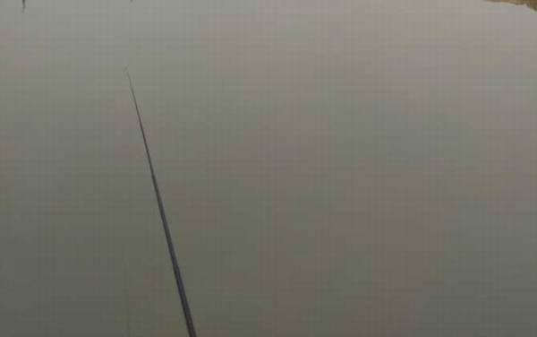 夏天钓鲫鱼用什么饵料?