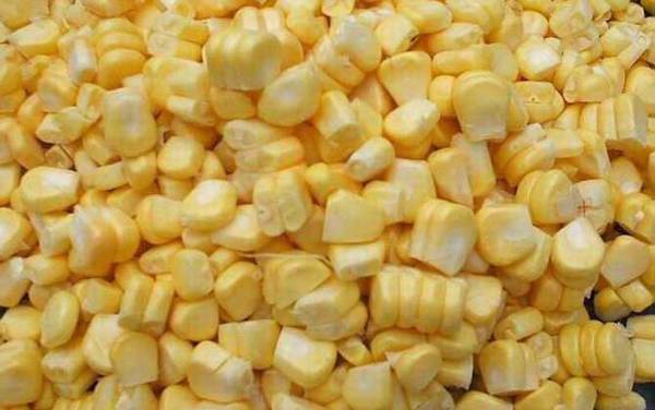 排名第一的鱼饵是什么饵?