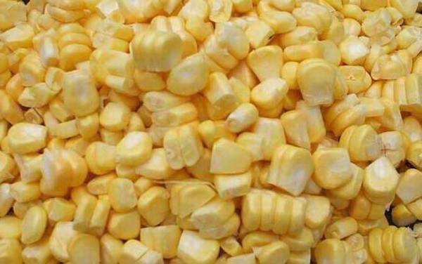 野钓用什么饵料好?