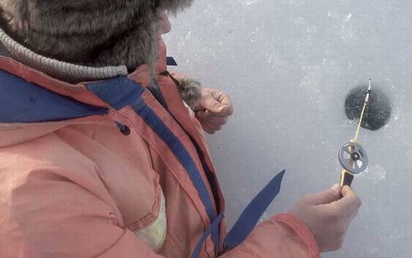 冰钓用什么钓饵?