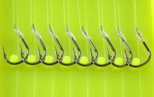 3.0子线能钓多大的鱼?