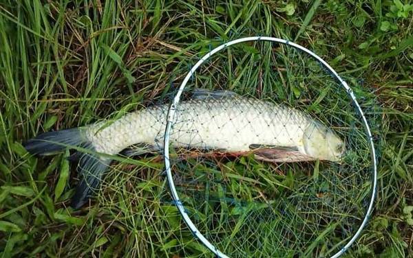 �������ö��ĸ�Ư��ã�