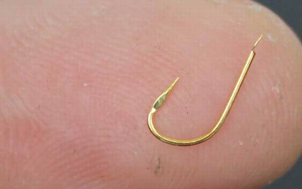 1号袖钩钓多大鲫鱼?