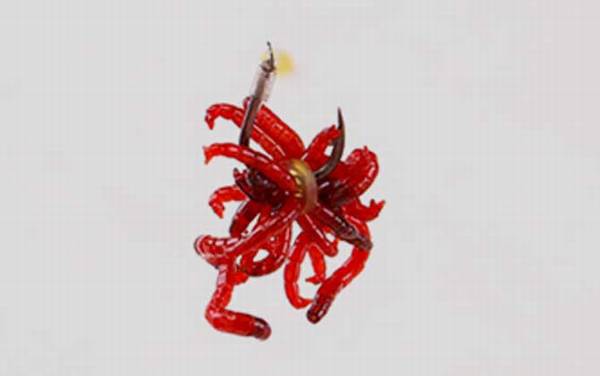 挂红虫用有刺钩还无刺钩?