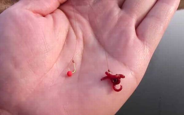 红虫钓鲫鱼用几号钩子?