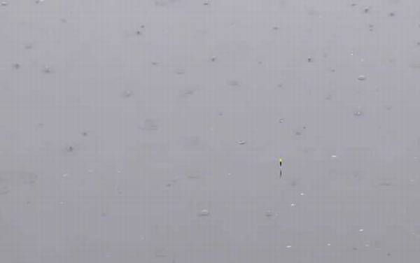 初夏钓鱼线组怎么搭配?