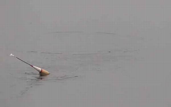 夏季钓鱼多长的钓竿合适?