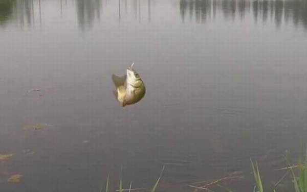 夏季钓鱼多长的钓竿合适?