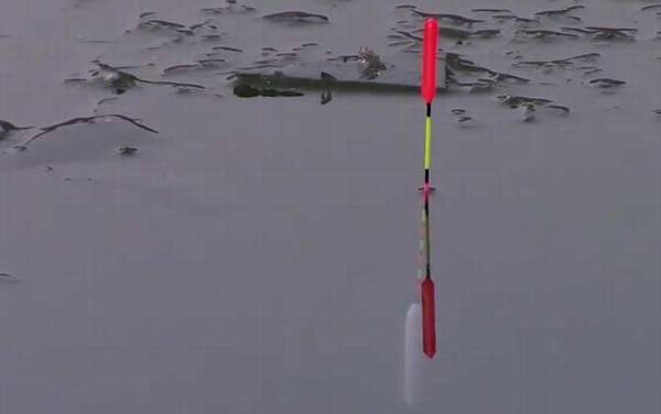 冬季钓鱼用多大的线组?