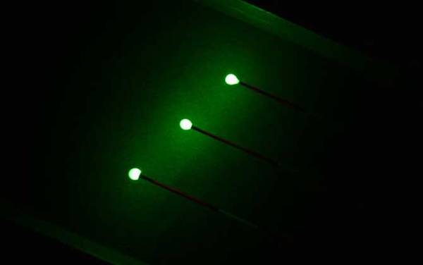 夜晚钓鱼要哪些装备?