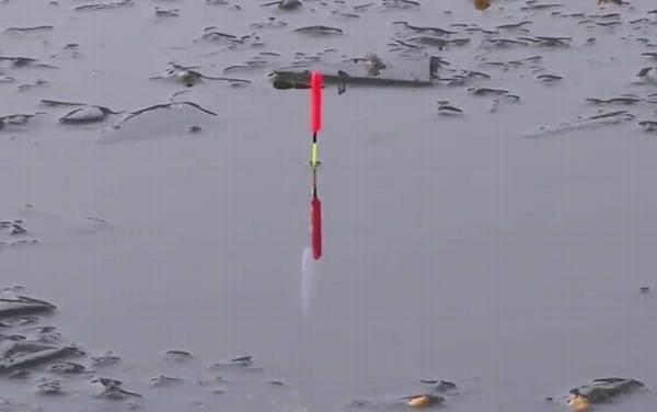 手竿野钓用什么漂好用?