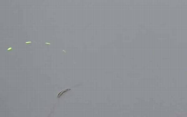 七星漂可以钓浮吗?