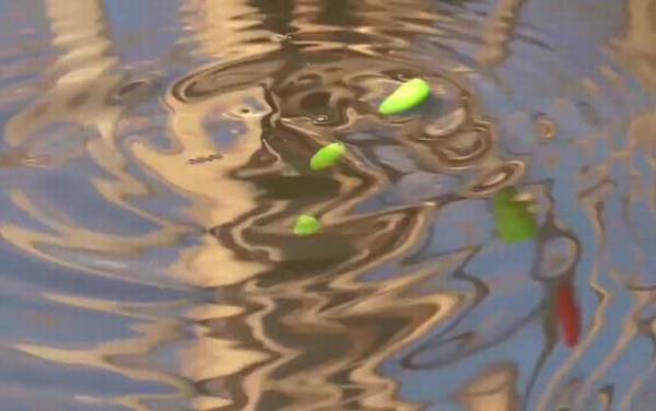 七星漂能用商品饵料钓鱼吗?