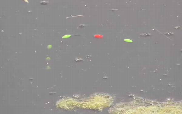 七星漂严重走水能不能钓鱼?