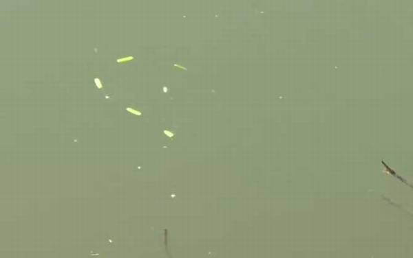 七星漂严重走水能不能钓鱼?