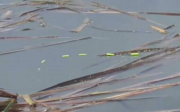 七星漂一定要用朝天钩吗?