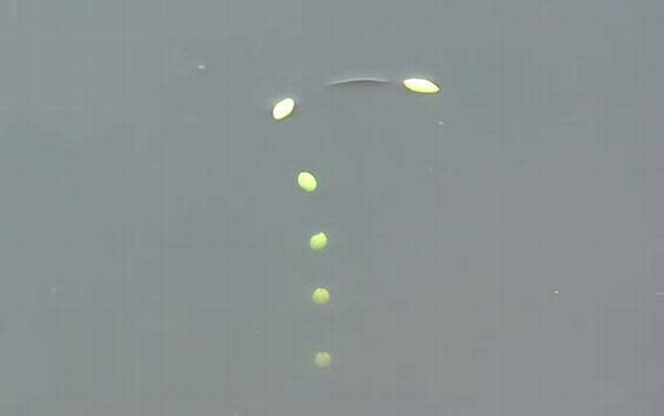 七星漂一定要用朝天钩吗?